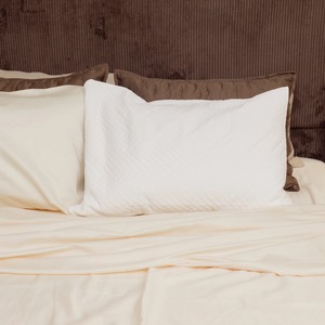 Dream Comfort Pillow Protector