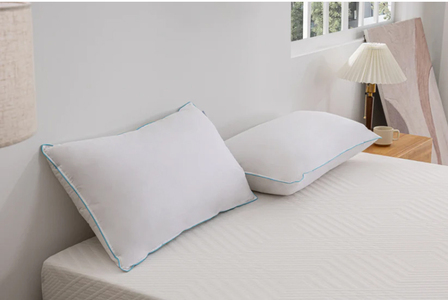 Ethically Sourced Down Pillow