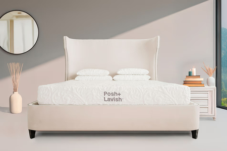 Reveal Rubber Latex Mattress - Plush