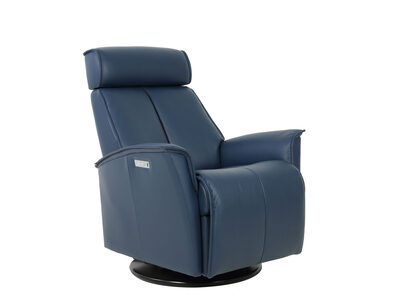 558116 Small Dual Power Swing Relaxer with Glide Lock - Manual