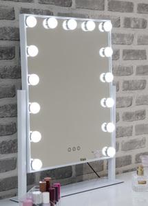 HOL-804 Mirror 610mm x 460mm