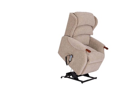 Standard Dual Motor Riser Recliner With Headrest
