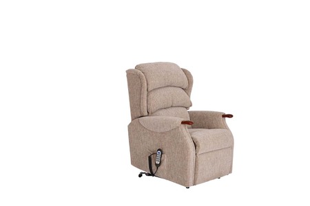 Standard Single Motor Recliner With Headrest & Lumbar