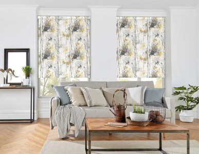 Silver Birch Shadow Roller Blind