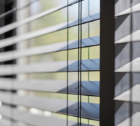 Brasswood blind