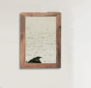 RAI07 Mirror
