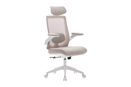 Zke-010-NT Ergonomic Office Chair - Natural