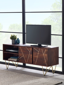Plasma Media Unit