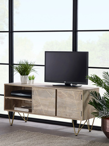 Plasma Media Unit