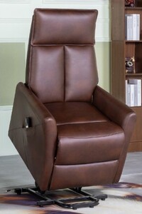 16021 Electric Lift & Tilt Chair - Tan
