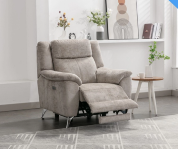 16025 Electric Chair Fossil