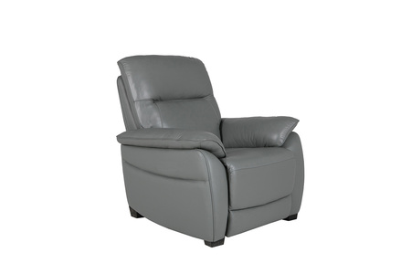 Ner-301-ST 1 Seater Fixed - Steel