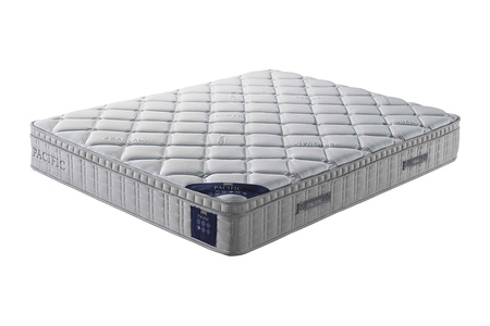 Pac-456-MAT 6' Mattress