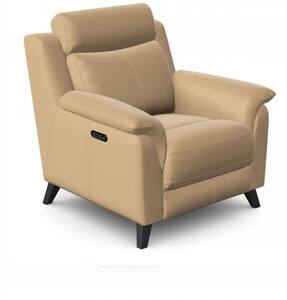 Power Recliner Chair (Toggle USB)