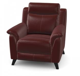 Power Recliner Chair Plus Head Tilt (Toggle USB)