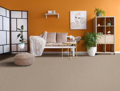 4M Carpet Width.Per Mtr2