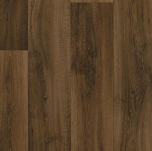Lime Oak 66D