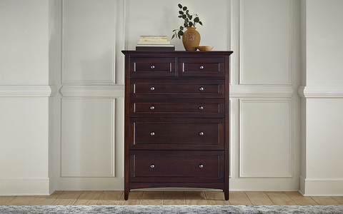 WSLDM5600 6 Dr Chest