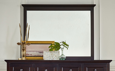 WSLDM5560 Master Mirror