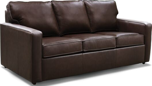 Norris Leather Queen Sleeper