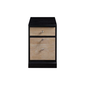 GB215FE 15In 2-Drawer Mobile File