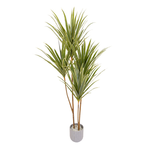 TL6103 Artificial Dracaena Tree Green 150cm
