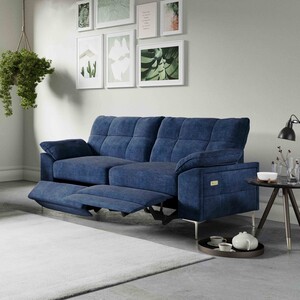 Electric - 2 Seater