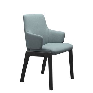 1842732 Laurel v2 Low Large w/arms D100