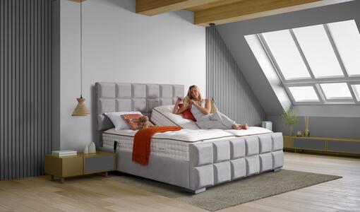 Adjustable Bed-Frame including Standard Mechanism