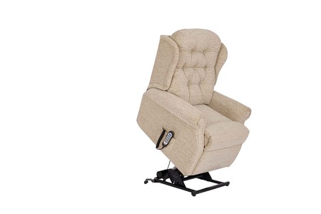 Standard Dual Motor Riser Recliner With Headrest & Lumbar