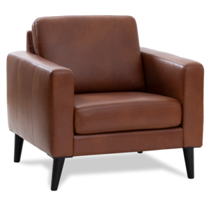 N120010 1 Seat
